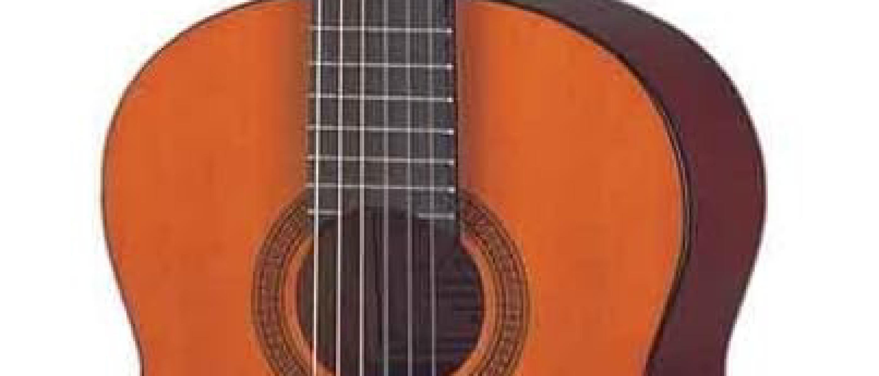 Acoustic Guitar