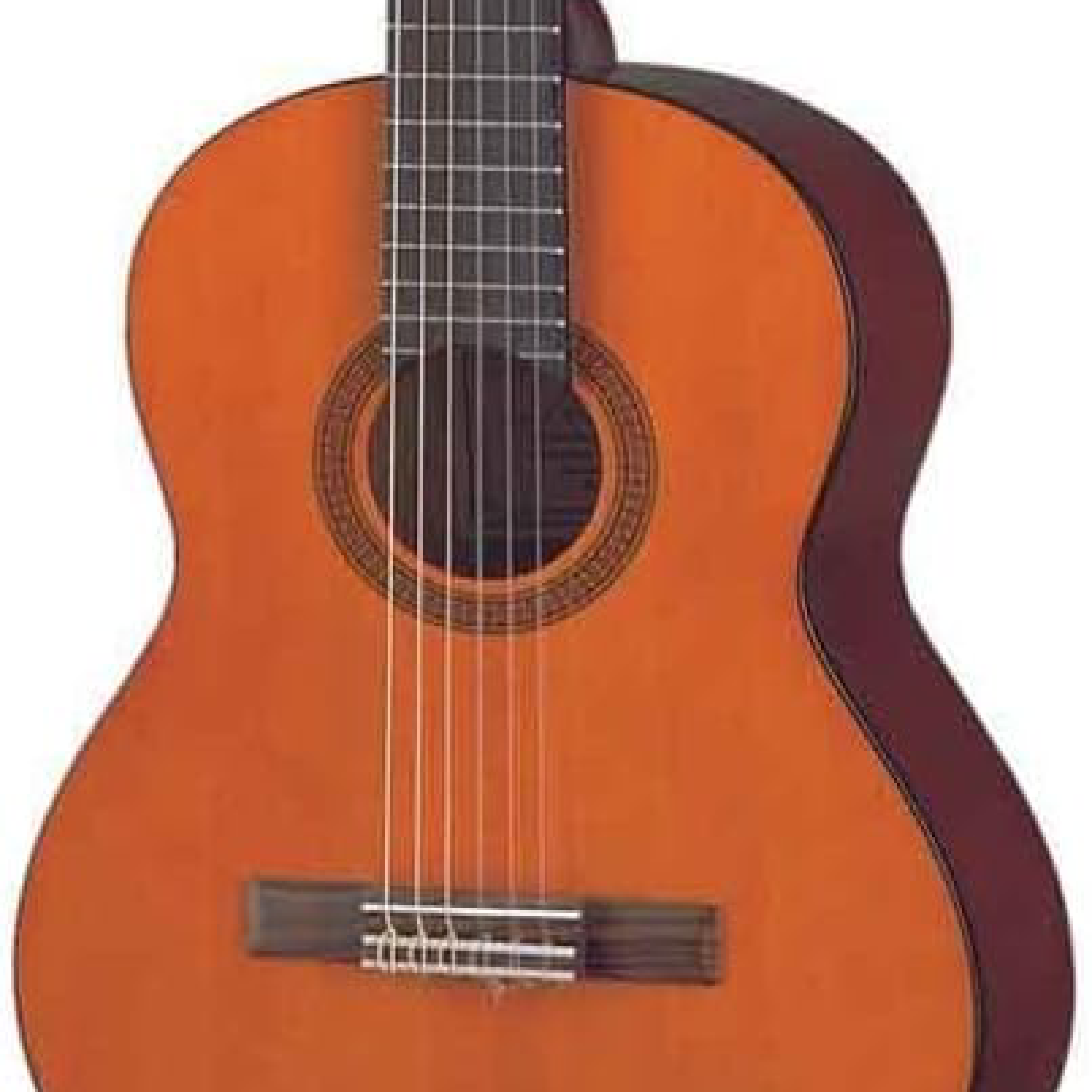 Acoustic Guitar